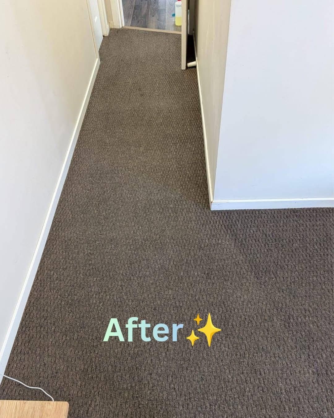 CarpetAfter.jpeg
