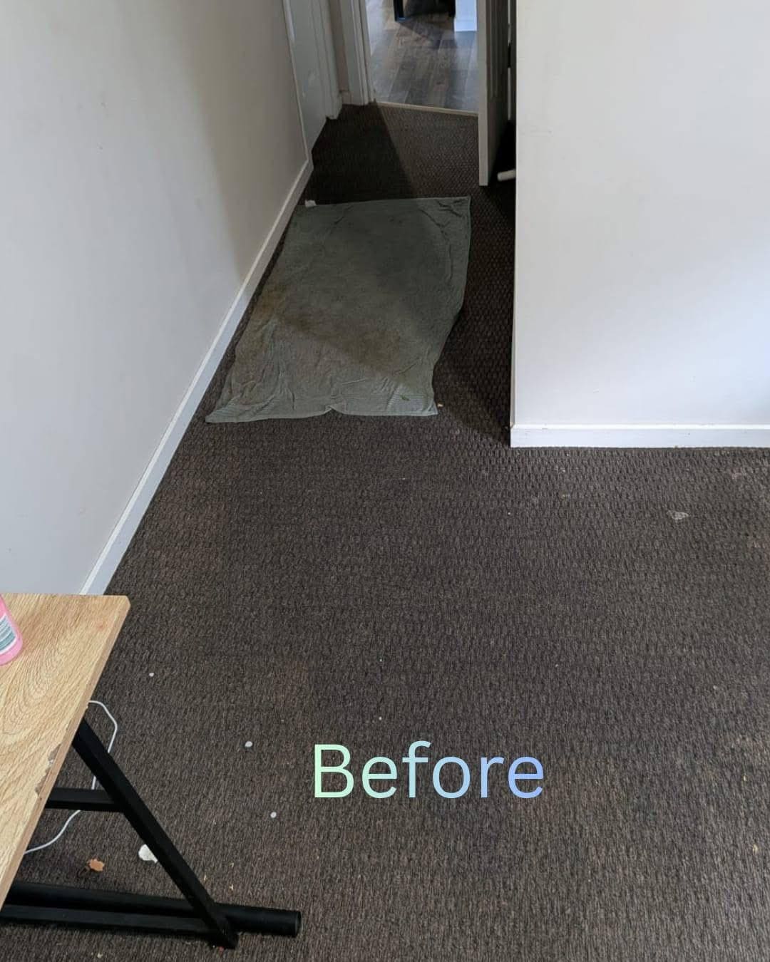 CarpetBefore.jpeg CarpetBefore.jpeg